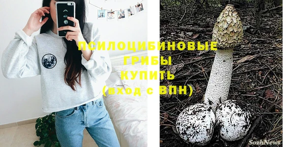 эйфоретик Козловка