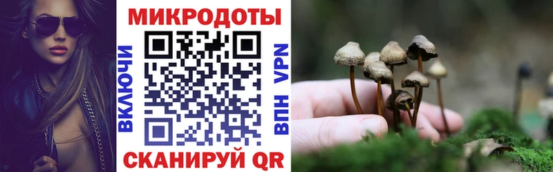 Псилоцибиновые грибы MAGIC MUSHROOMS  Купить закладки  Тамбов 
