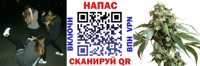 Купить  Тамбов  МАРИХУАНА семена 